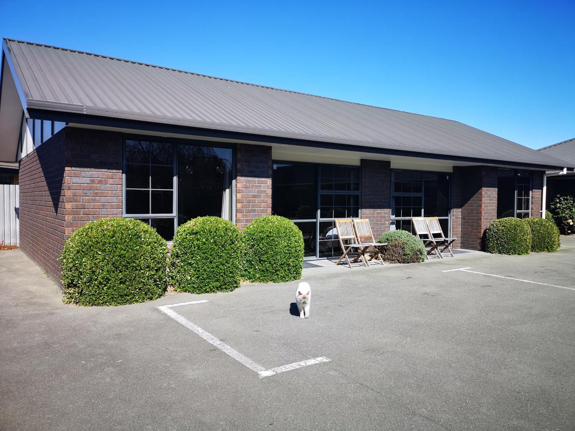 Aston Court Motel Blenheim Luaran gambar
